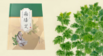 【行業(yè)資訊】國內(nèi)首部艾草專著《南陽艾》，在南陽新書首發(fā)！